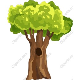 Lush Green Tree