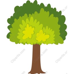 Lush Green Tree