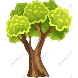 Vibrant Lush Tree