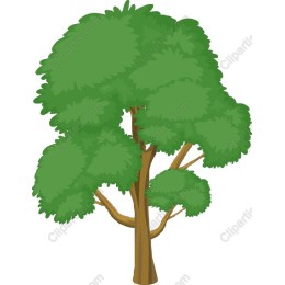 Lush Green Tree
