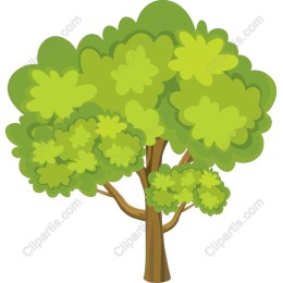 Lush Green Tree