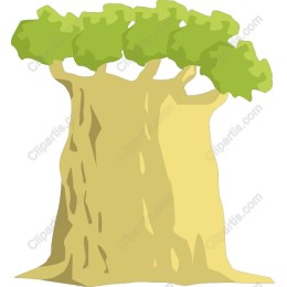 Majestic Baobab Tree