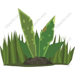 Vibrant Greenery