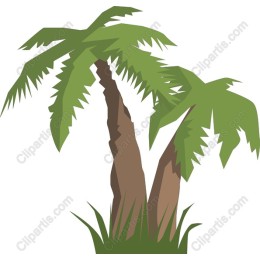 Tropical Paradise Palm Tree