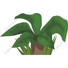 Lush Green Plant