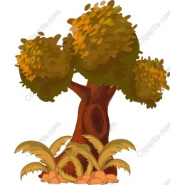 Charming Autumn Tree