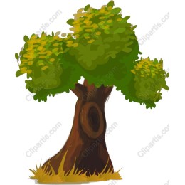 Enchanting Tree