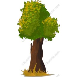 Vibrant Lush Tree