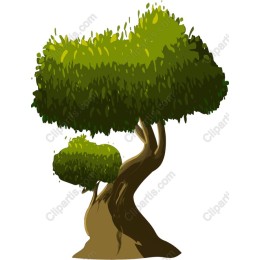 Lush Green Tree