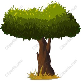Lush Green Tree