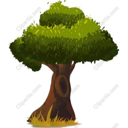 Lush Green Tree