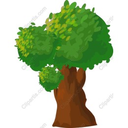 Vibrant Lush Tree