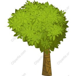 Lush Green Tree