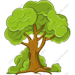 Lush Green Tree