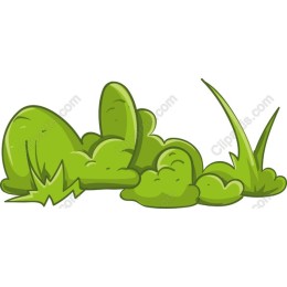 Vibrant Green Shrubbery