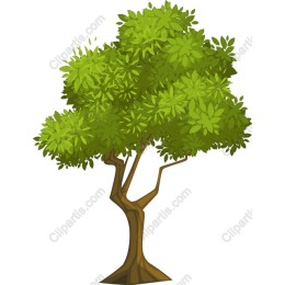Lush Green Tree