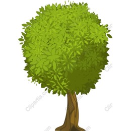 Vibrant Green Tree
