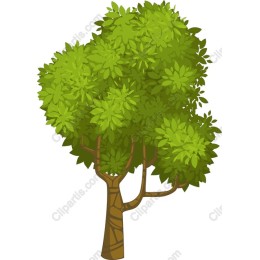 Lush Green Tree