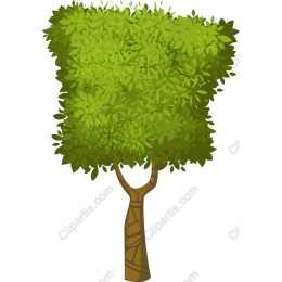 Lush Green Tree