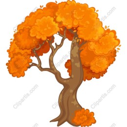 Vibrant Orange Autumn Tree
