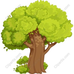 Vibrant Lush Green Tree