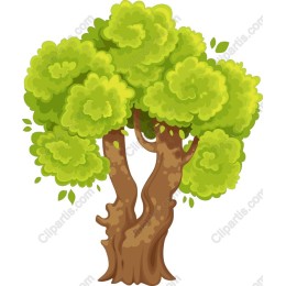Vibrant Lush Green Tree