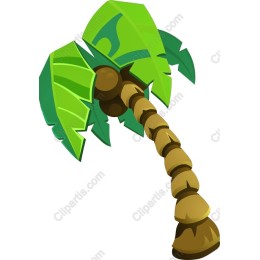 Tropical Palm Tree