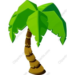 Tropical Palm Tree