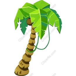 Tropical Palm Tree