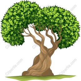 Lush Green Tree
