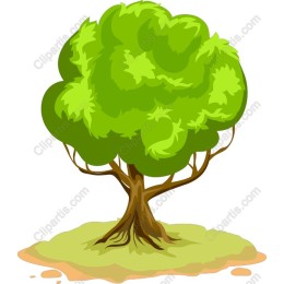 Vibrant Green Tree