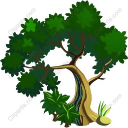 Lush Green Tree