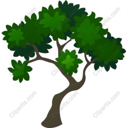 Lush Green Tree