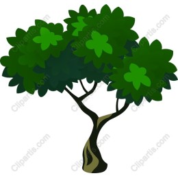 Lush Green Tree