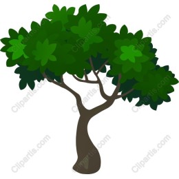 Lush Green Tree