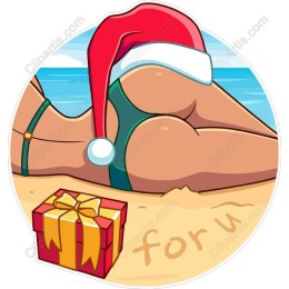 Festive Beach Santa