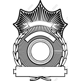 Vintage Shield
