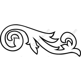 Elegant Floral Swirl