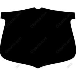 Elegant Shield