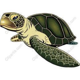 Majestic Sea Turtle