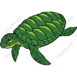 Vibrant Green Sea Turtle