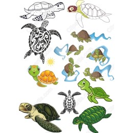 Turtle Bundle - Clipart Set
