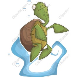 Charming Turtle
