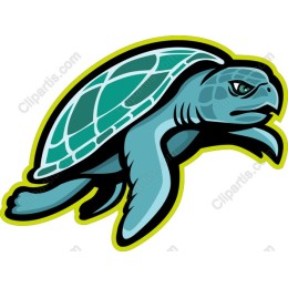 Fierce Sea Turtle