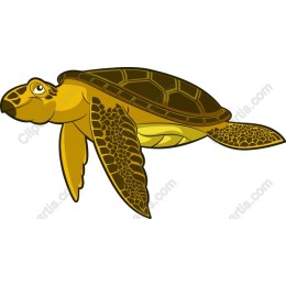 Charming Sea Turtle