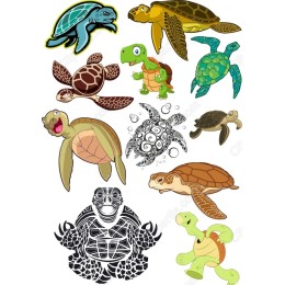 Turtle Bundle: Adorable