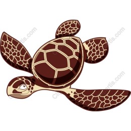 Sea Turtle