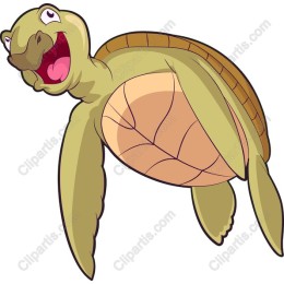 Happy Sea Turtle
