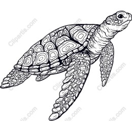 Intricate Sea Turtle