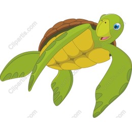Colorful Cartoon Turtle
